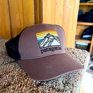 Patagonia Trucker Hat